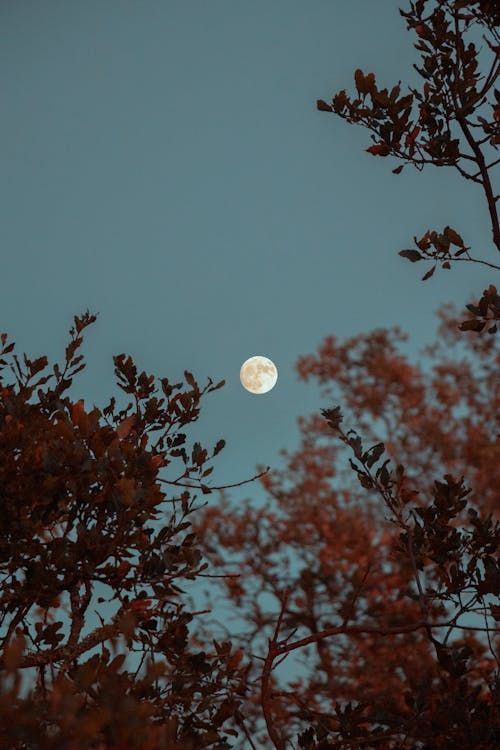 Love Spells That Work During Mercury Retrograde